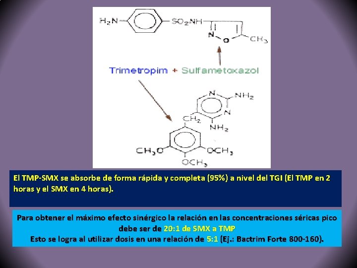 El TMP-SMX se absorbe de forma rápida y completa (95%) a nivel del TGI
