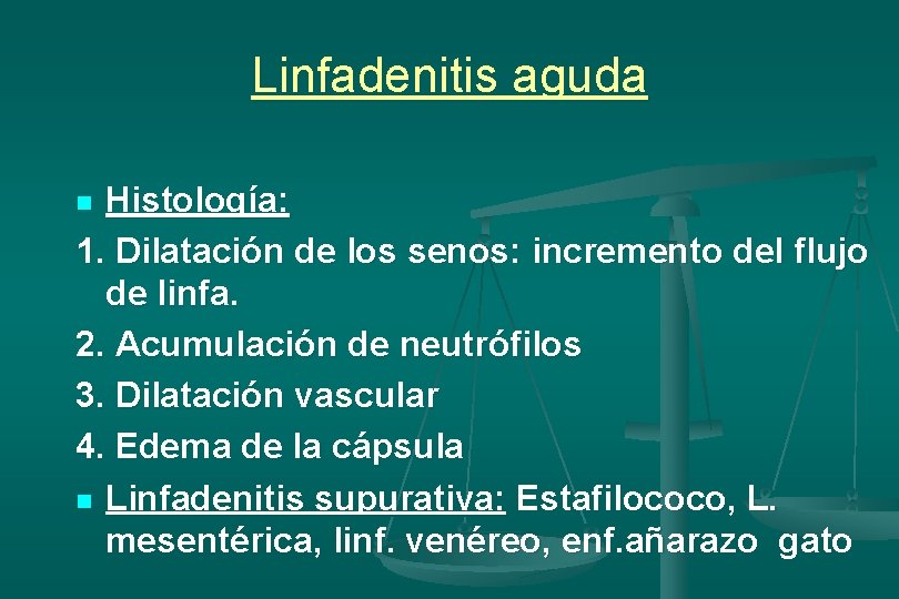 Linfadenitis aguda Histología: 1. Dilatación de los senos: incremento del flujo de linfa. 2.