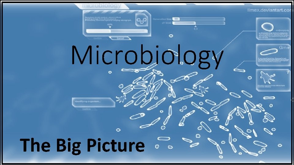 Microbiology The Big Picture 