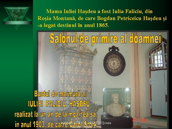 Mama Iuliei Haşdeu a fost Iulia Faliciu, din Roşia Montană, de care Bogdan Petriceicu