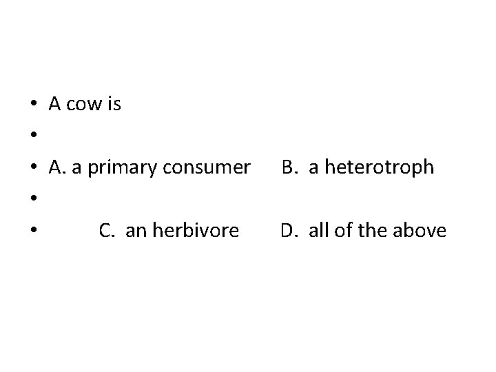  • • • A cow is A. a primary consumer B. a heterotroph