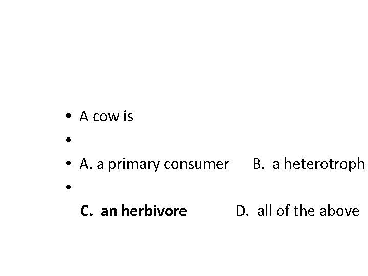  • • A cow is A. a primary consumer B. a heterotroph C.