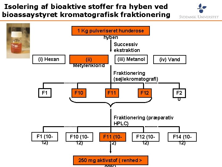 Isolering af bioaktive stoffer fra hyben ved bioassaystyret kromatografisk fraktionering 1 Kg pulveriseret hunderose