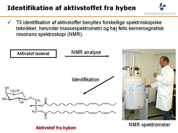 Identifikation af aktivstoffet fra hyben ü Til identifikation af aktivstoffer benyttes forskellige spektroskopiske teknikker,