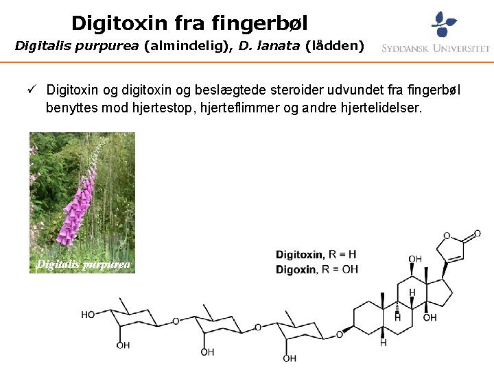 Digitoxin fra fingerbøl Digitalis purpurea (almindelig), D. lanata (lådden) ü Digitoxin og digitoxin og