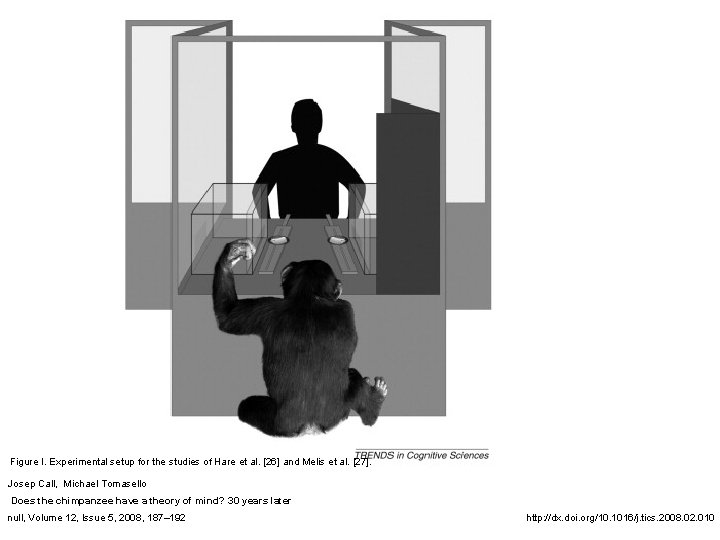 Figure I. Experimental setup for the studies of Hare et al. [26] and Melis