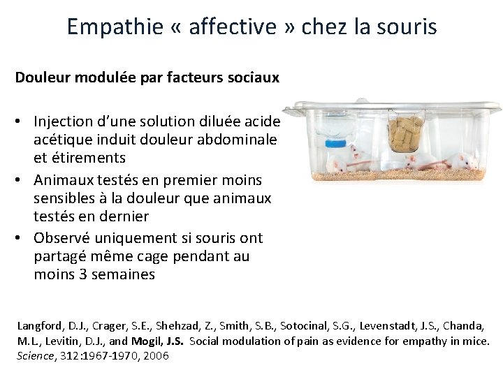 Empathie « affective » chez la souris Douleur modulée par facteurs sociaux • Injection