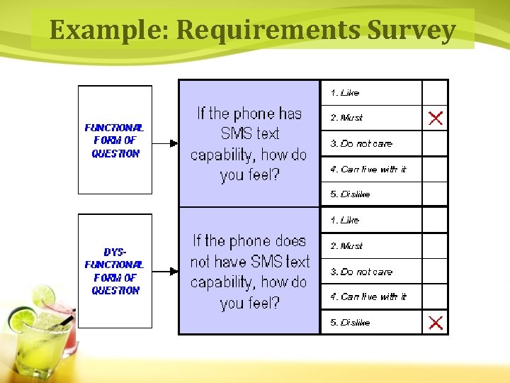 Example: Requirements Survey 
