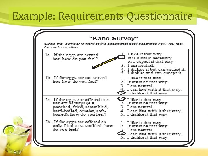 Example: Requirements Questionnaire 