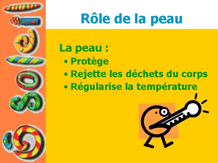 Rôle de la peau La peau : • Protège • Rejette les déchets du