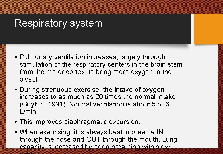 Respiratory system • Pulmonary ventilation increases, largely through stimulation of the respiratory centers in