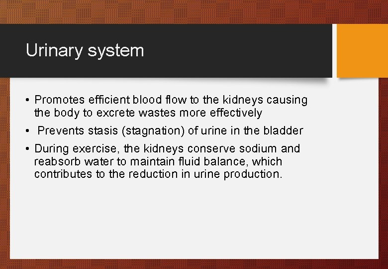 Urinary system • Promotes efficient blood flow to the kidneys causing the body to