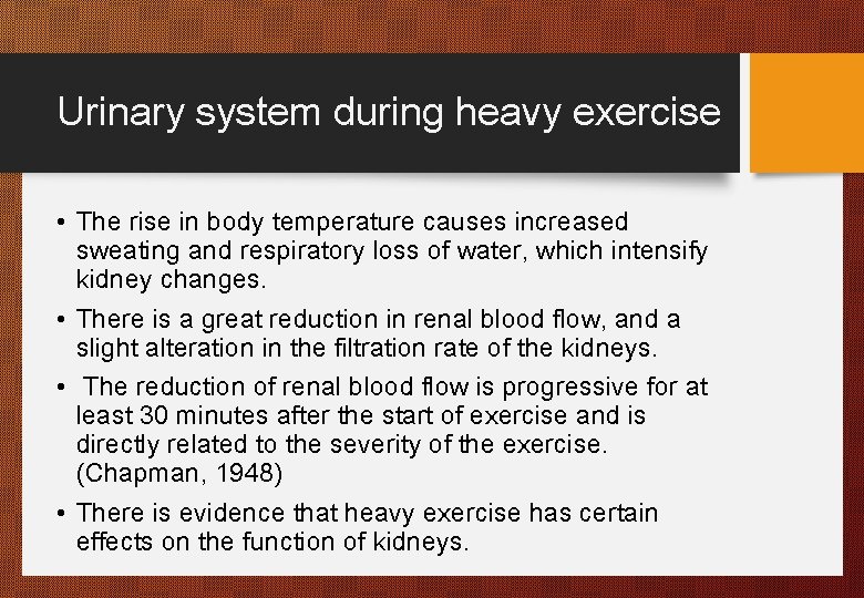 Urinary system during heavy exercise • The rise in body temperature causes increased sweating