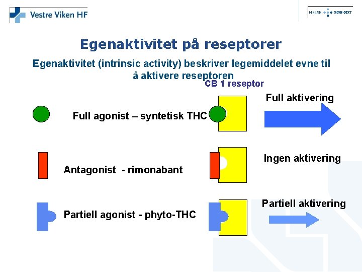 Egenaktivitet på reseptorer Egenaktivitet (intrinsic activity) beskriver legemiddelet evne til å aktivere reseptoren CB