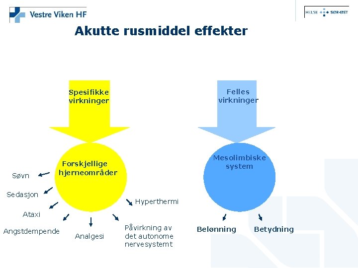 Akutte rusmiddel effekter Felles virkninger Spesifikke virkninger Søvn Mesolimbiske system Forskjellige hjerneområder Sedasjon Hyperthermi