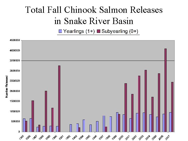 Total Fall Chinook Salmon Releases in Snake River Basin 