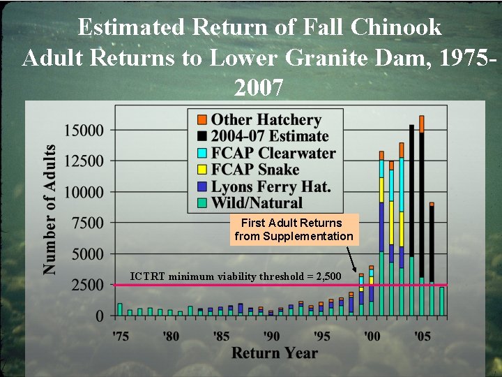 Estimated Return of Fall Chinook Adult Returns to Lower Granite Dam, 19752007 First Adult