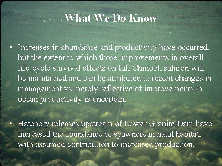 What We Do Know • Increases in abundance and productivity have occurred, but the