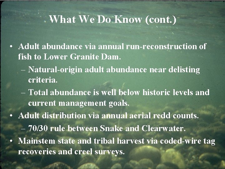 What We Do Know (cont. ) • Adult abundance via annual run-reconstruction of fish