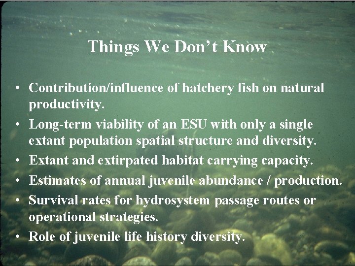 Things We Don’t Know • Contribution/influence of hatchery fish on natural productivity. • Long-term