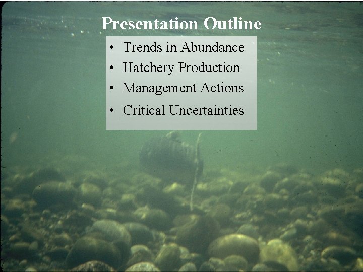Presentation Outline • Trends in Abundance • Hatchery Production • Management Actions • Critical