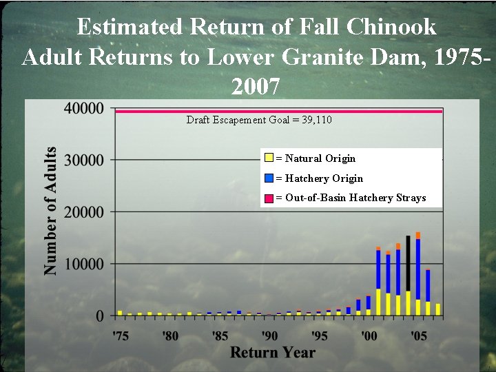 Estimated Return of Fall Chinook Adult Returns to Lower Granite Dam, 19752007 Draft Escapement