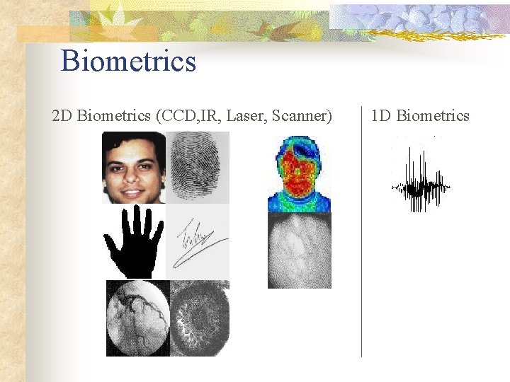 Biometrics 2 D Biometrics (CCD, IR, Laser, Scanner) 1 D Biometrics 