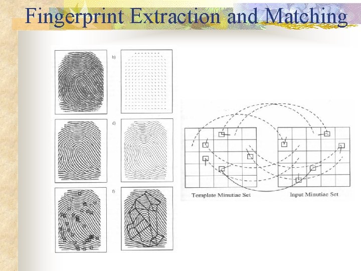 Fingerprint Extraction and Matching 