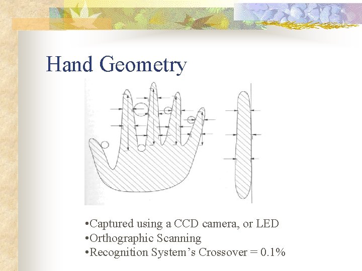 Hand Geometry • Captured using a CCD camera, or LED • Orthographic Scanning •