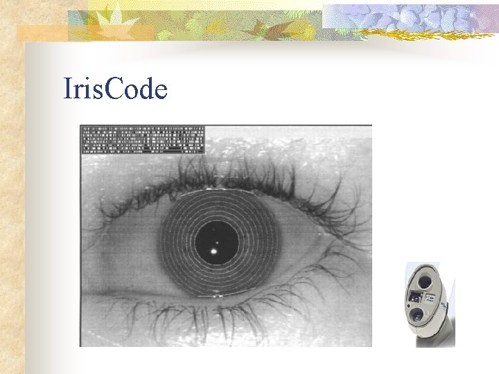 Iris. Code 