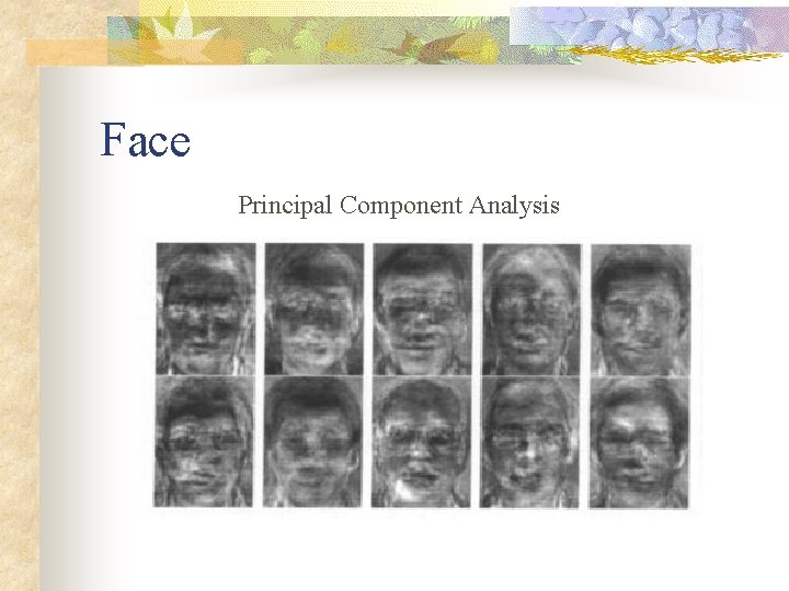 Face Principal Component Analysis 