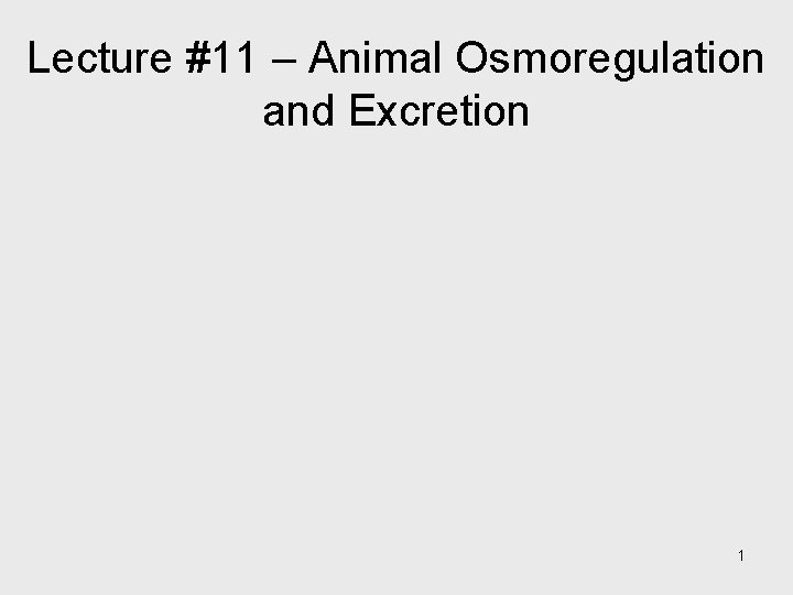 Lecture #11 – Animal Osmoregulation and Excretion 1 