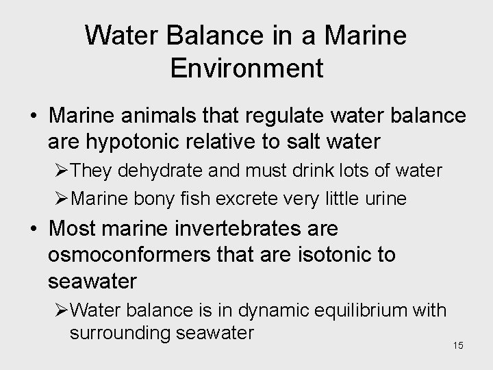 Water Balance in a Marine Environment • Marine animals that regulate water balance are