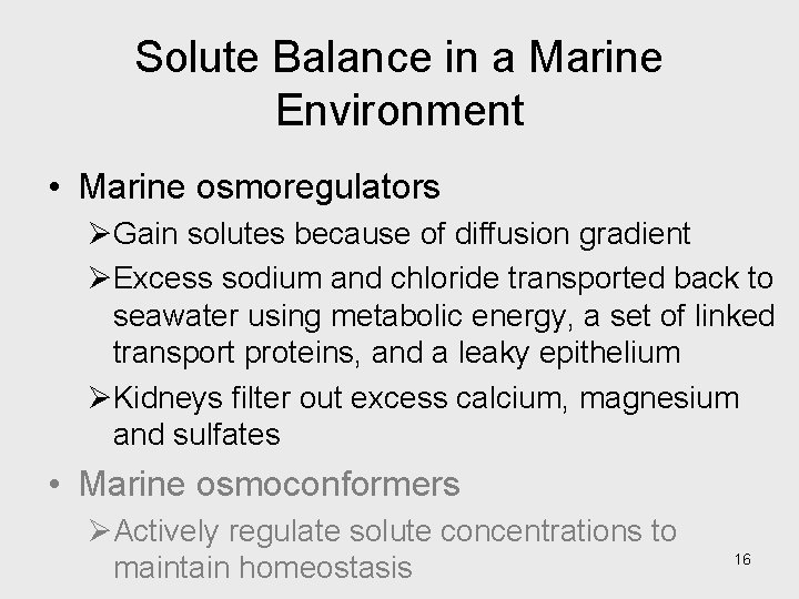 Solute Balance in a Marine Environment • Marine osmoregulators ØGain solutes because of diffusion