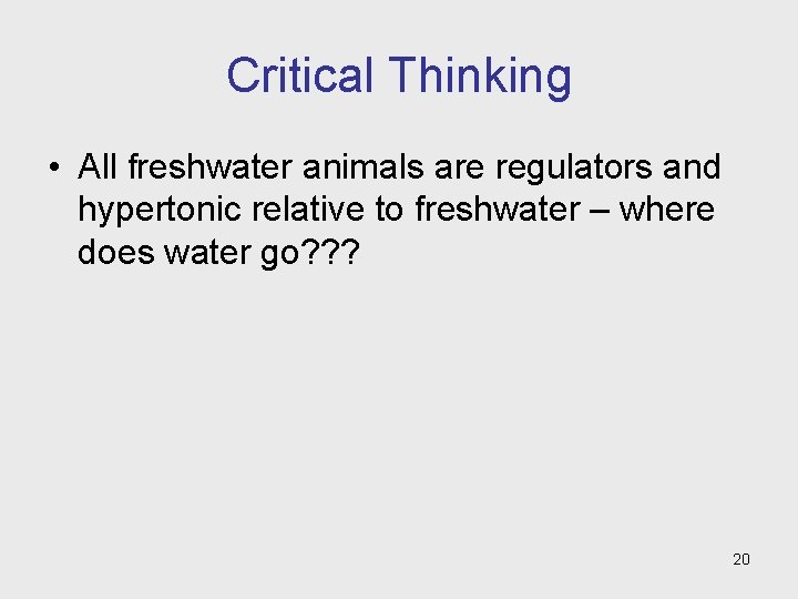 Critical Thinking • All freshwater animals are regulators and hypertonic relative to freshwater –