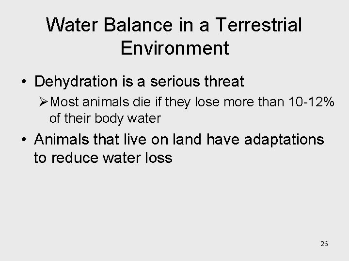 Water Balance in a Terrestrial Environment • Dehydration is a serious threat ØMost animals