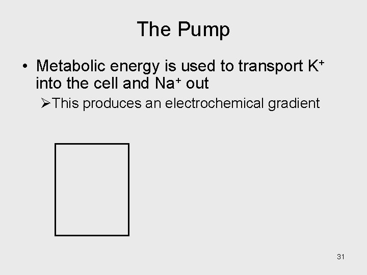 The Pump • Metabolic energy is used to transport K+ into the cell and