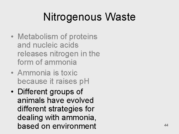 Nitrogenous Waste • Metabolism of proteins and nucleic acids releases nitrogen in the form