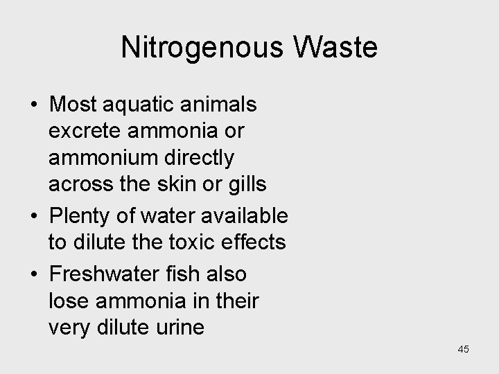 Nitrogenous Waste • Most aquatic animals excrete ammonia or ammonium directly across the skin