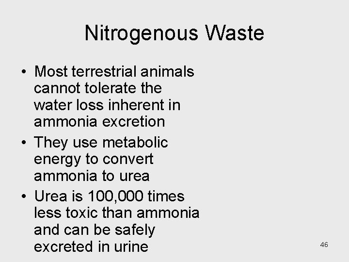 Nitrogenous Waste • Most terrestrial animals cannot tolerate the water loss inherent in ammonia