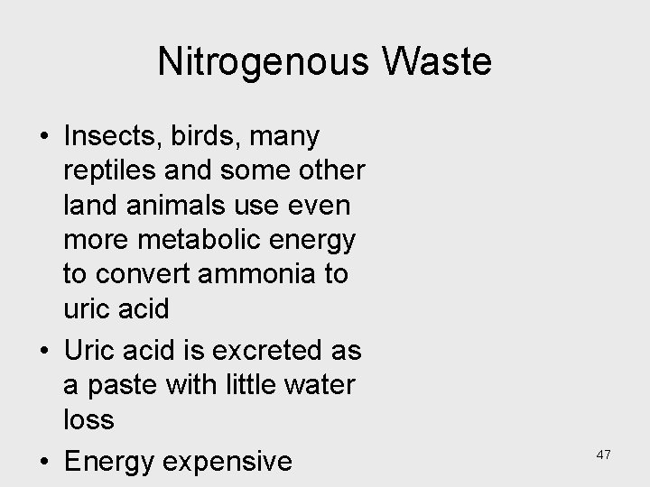 Nitrogenous Waste • Insects, birds, many reptiles and some other land animals use even
