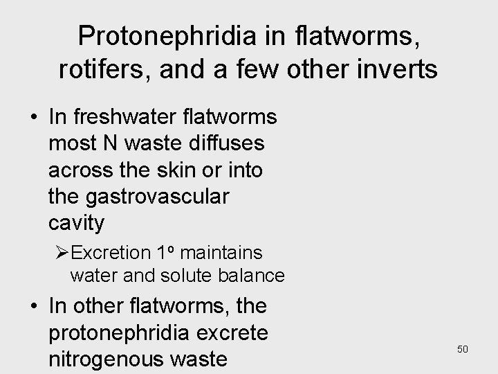 Protonephridia in flatworms, rotifers, and a few other inverts • In freshwater flatworms most