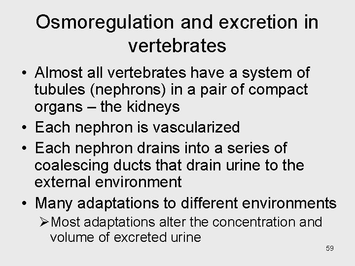 Osmoregulation and excretion in vertebrates • Almost all vertebrates have a system of tubules