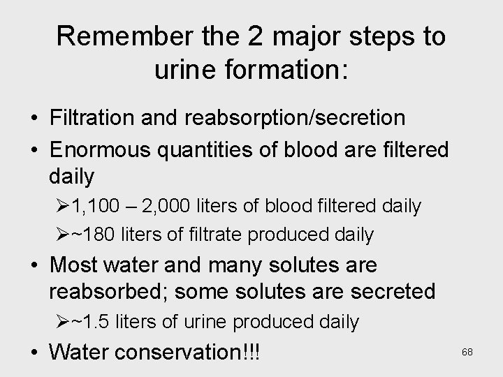 Remember the 2 major steps to urine formation: • Filtration and reabsorption/secretion • Enormous