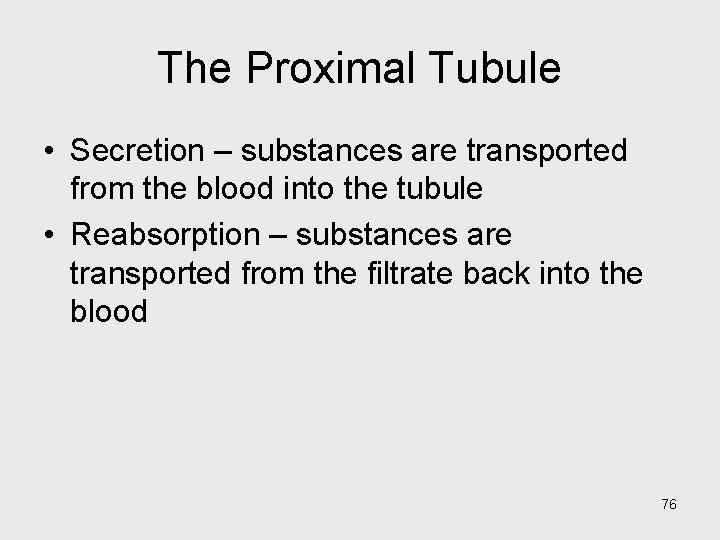 The Proximal Tubule • Secretion – substances are transported from the blood into the