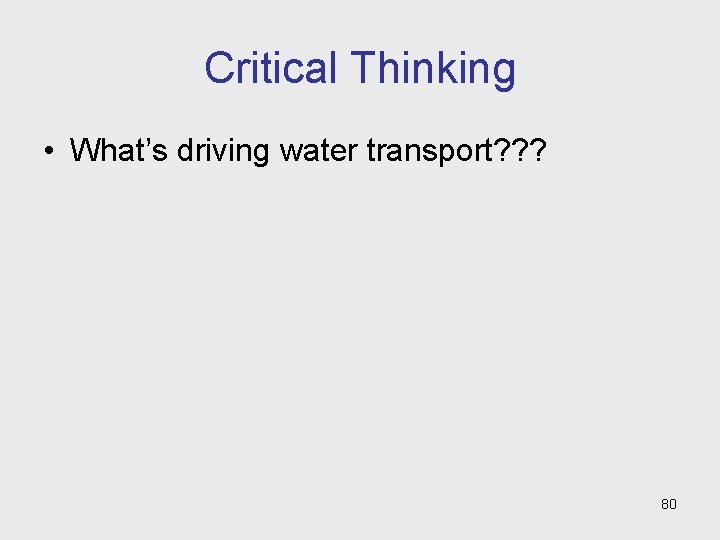 Critical Thinking • What’s driving water transport? ? ? 80 