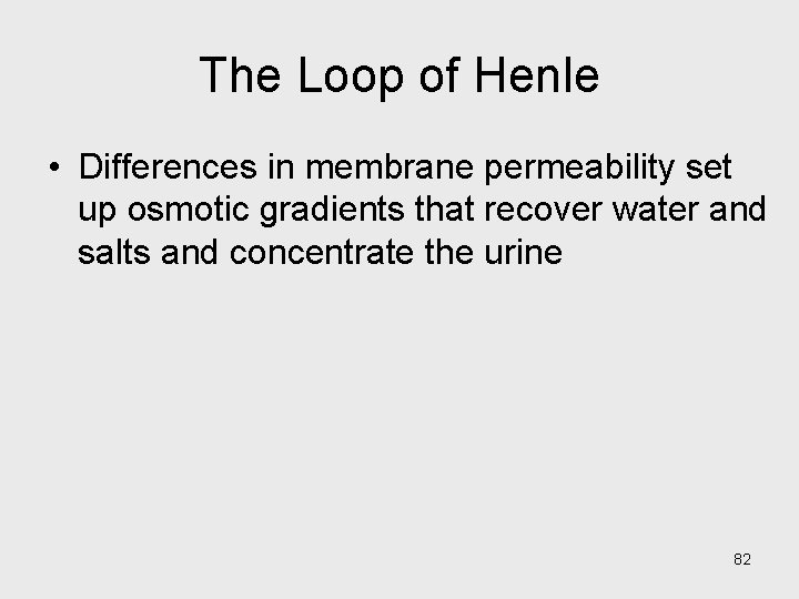 The Loop of Henle • Differences in membrane permeability set up osmotic gradients that