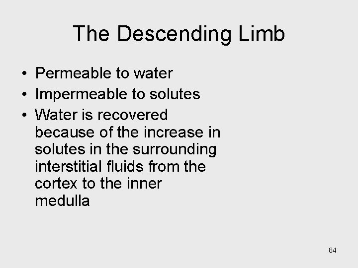 The Descending Limb • Permeable to water • Impermeable to solutes • Water is