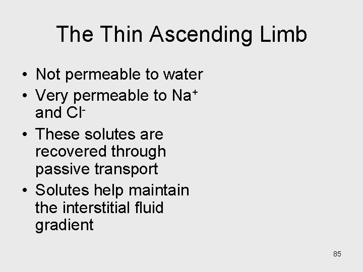 The Thin Ascending Limb • Not permeable to water • Very permeable to Na+