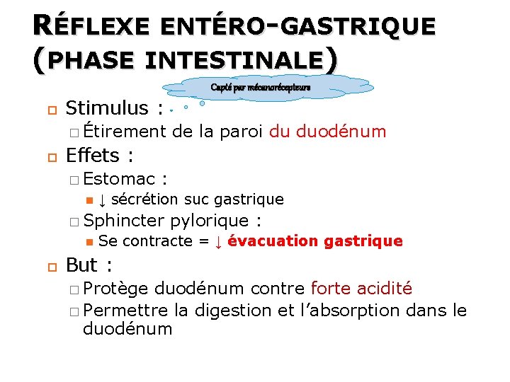 RÉFLEXE ENTÉRO-GASTRIQUE (PHASE INTESTINALE) Capté par mécanorécepteurs Stimulus : � Étirement Effets : � RÉFLEXE ENTÉRO-GASTRIQUE (PHASE INTESTINALE) Capté par mécanorécepteurs Stimulus : � Étirement Effets : �